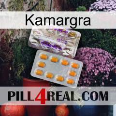 Kamargra new12